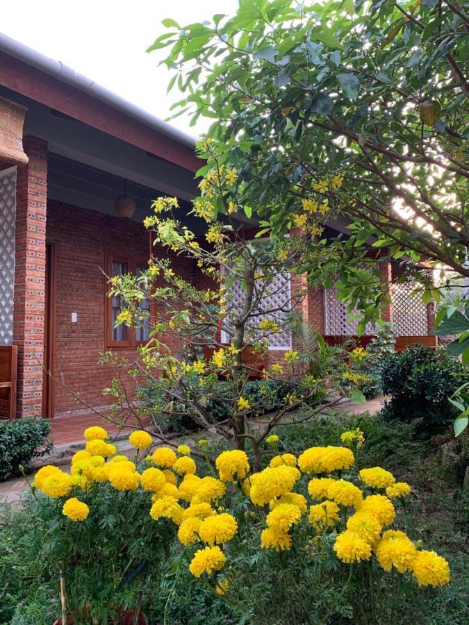 Sam Ong Lang Homestay Phu Quoc Exterior foto